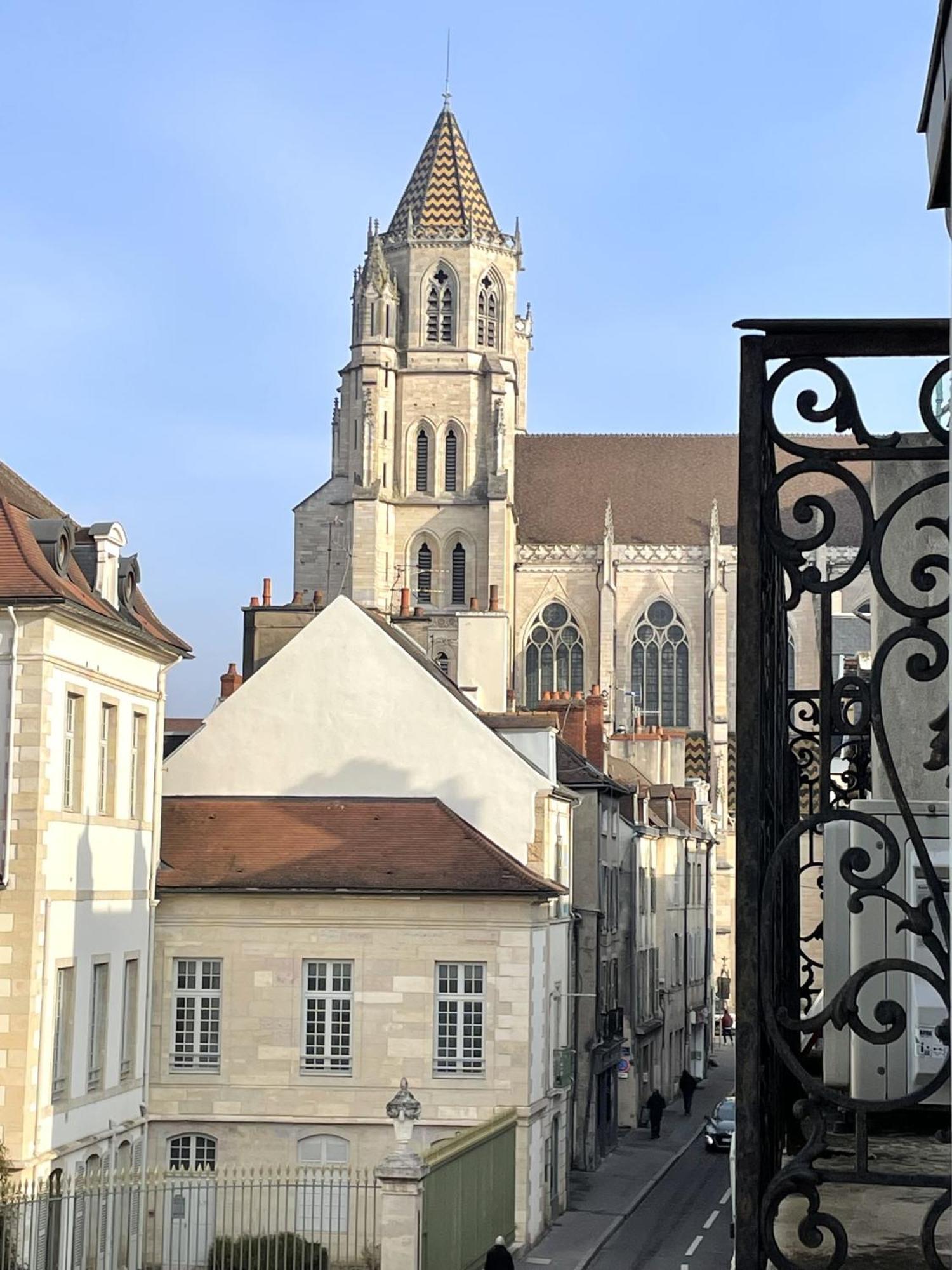 Sous Le Chene Bleu - Appartement Cosy Au Coeur De Dijon Exterior foto